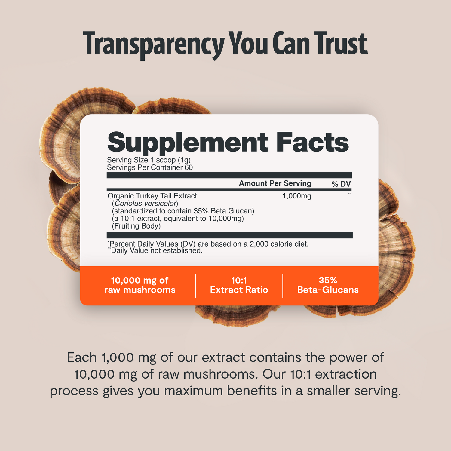 Turkey Tail Mushroom Extract Powder by FreshCap Mushrooms