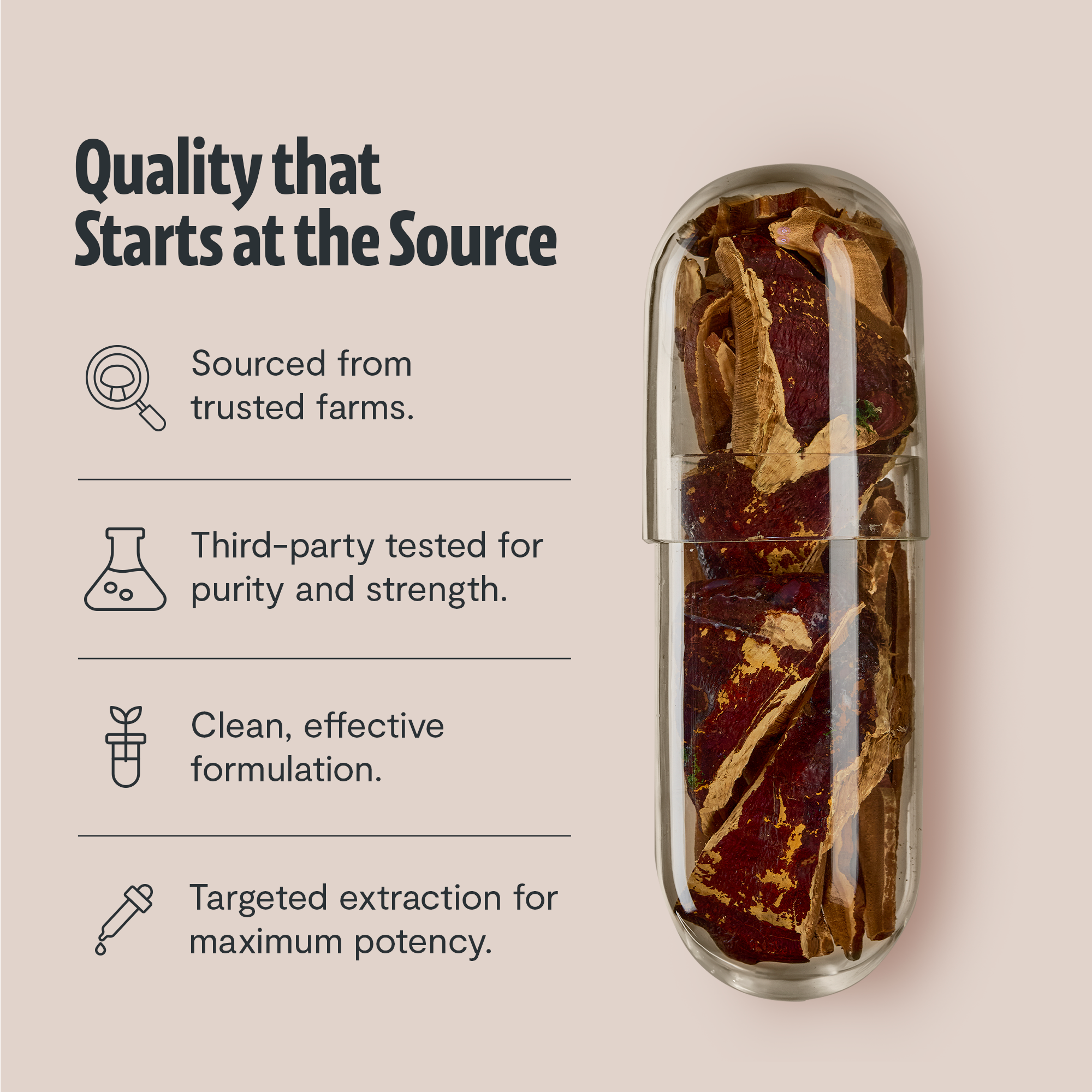 Reishi Mushroom Extract Capsules by FreshCap Mushrooms
