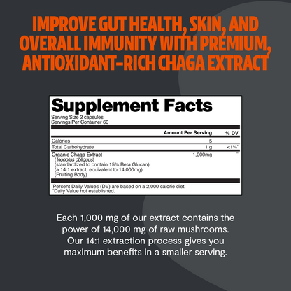 Chaga Mushroom Extract Capsules