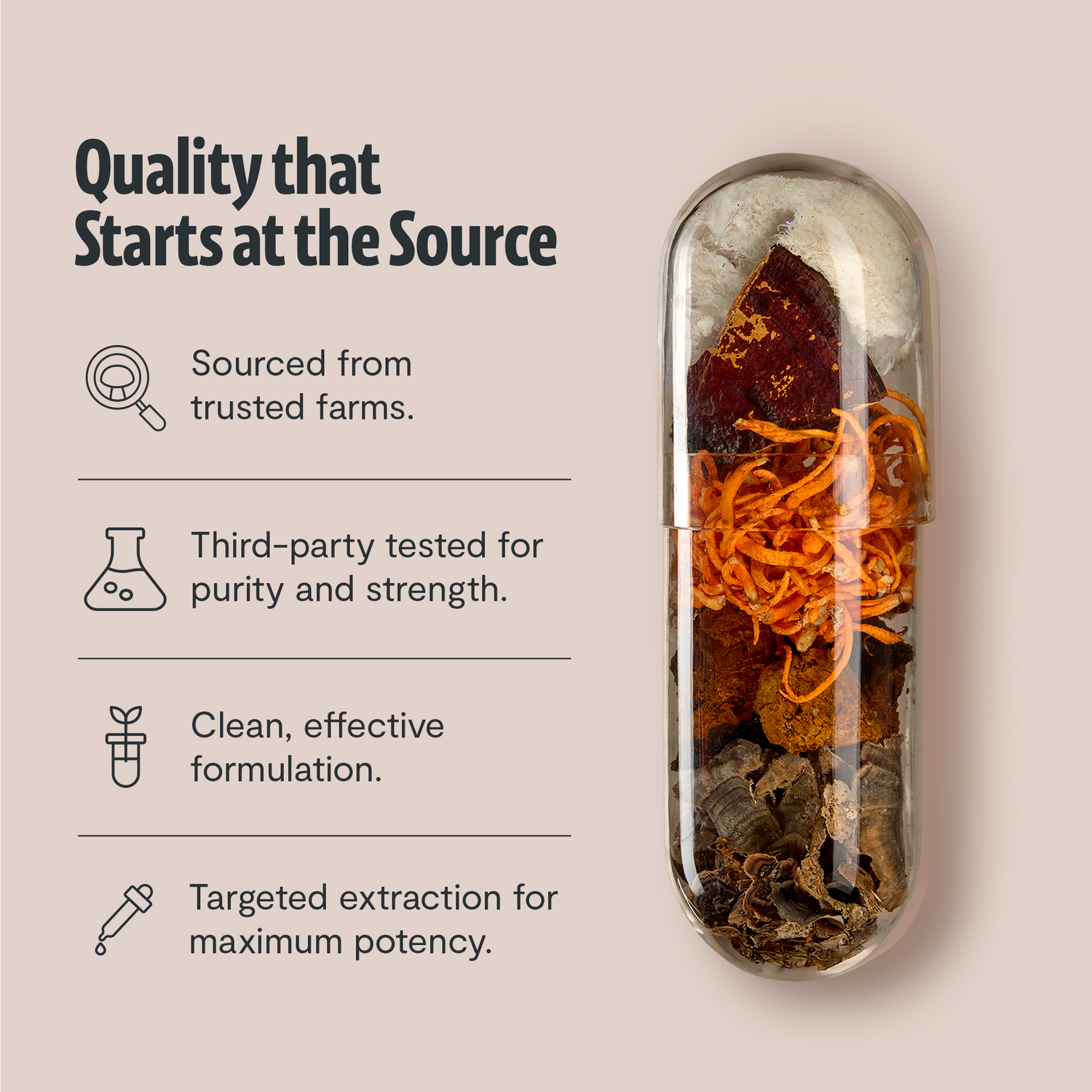 Ultimate Mushroom Complex Capsules by FreshCap Mushrooms