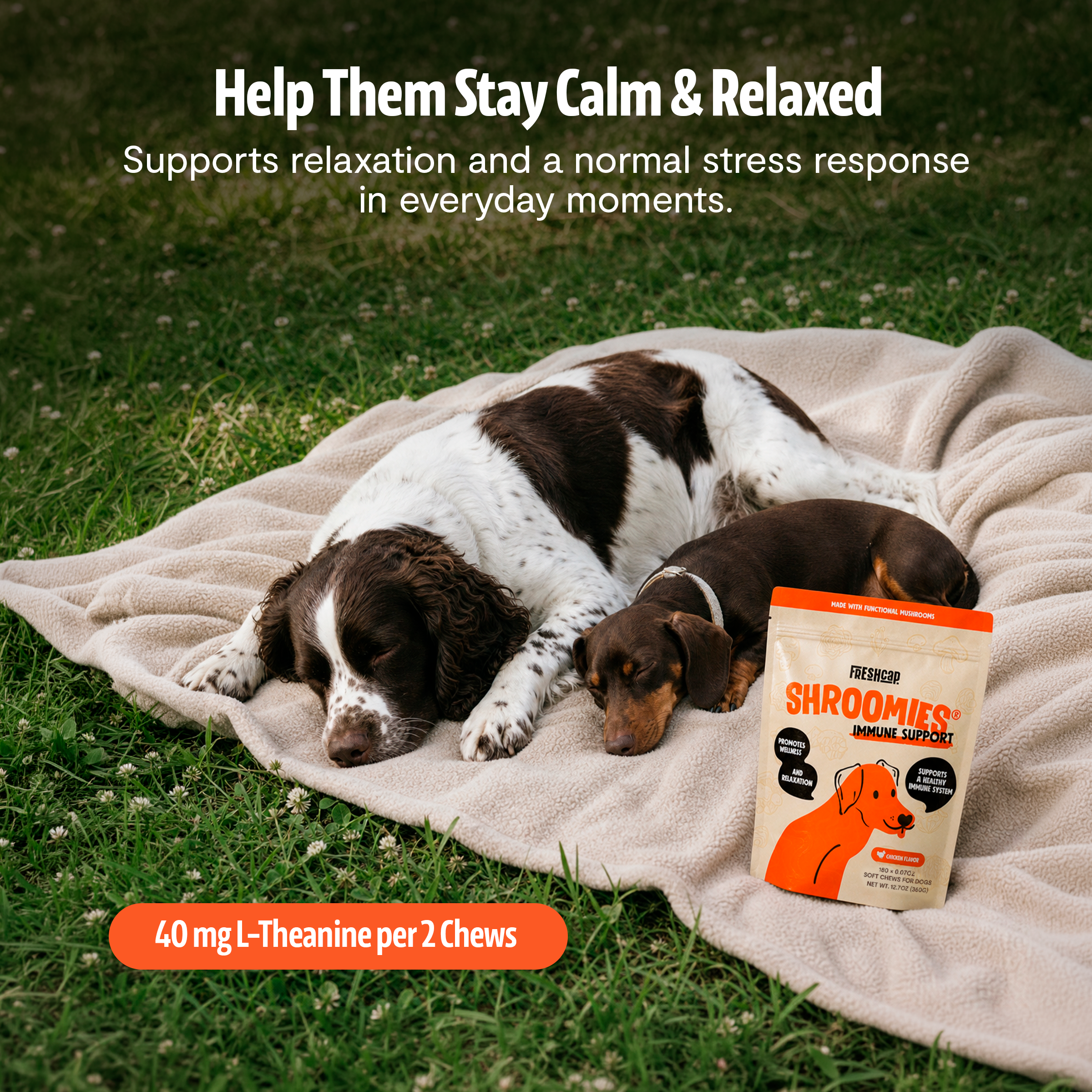 Organic Mushroom Complex for Dogs  DestGlow
