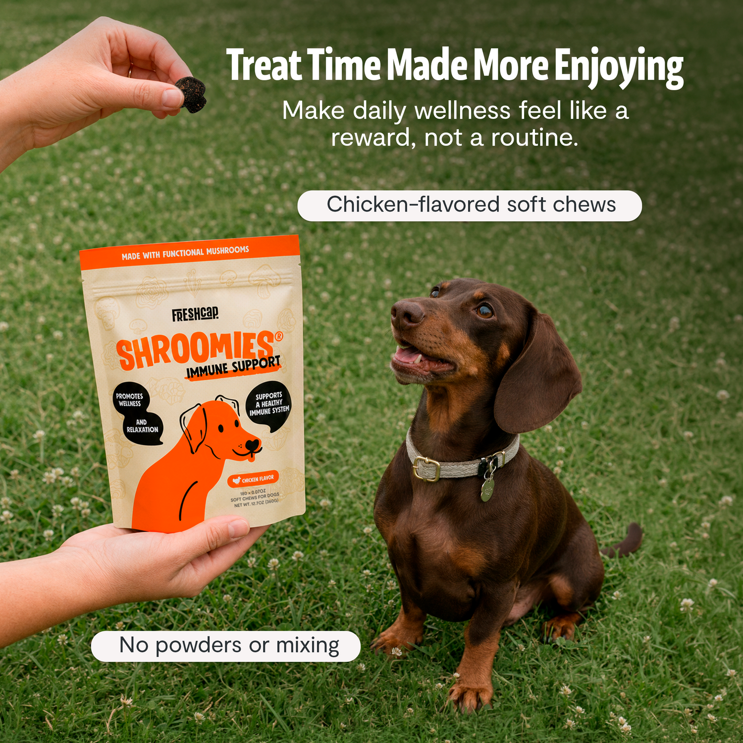 Organic Mushroom Complex for Dogs  DestGlow