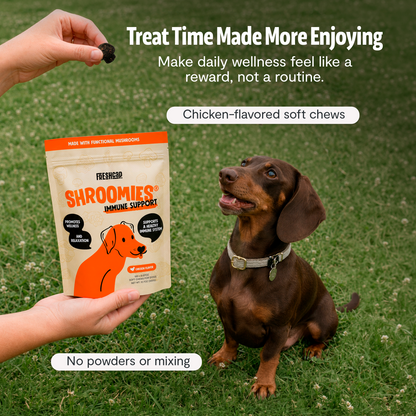 Organic Mushroom Complex for Dogs  DestGlow