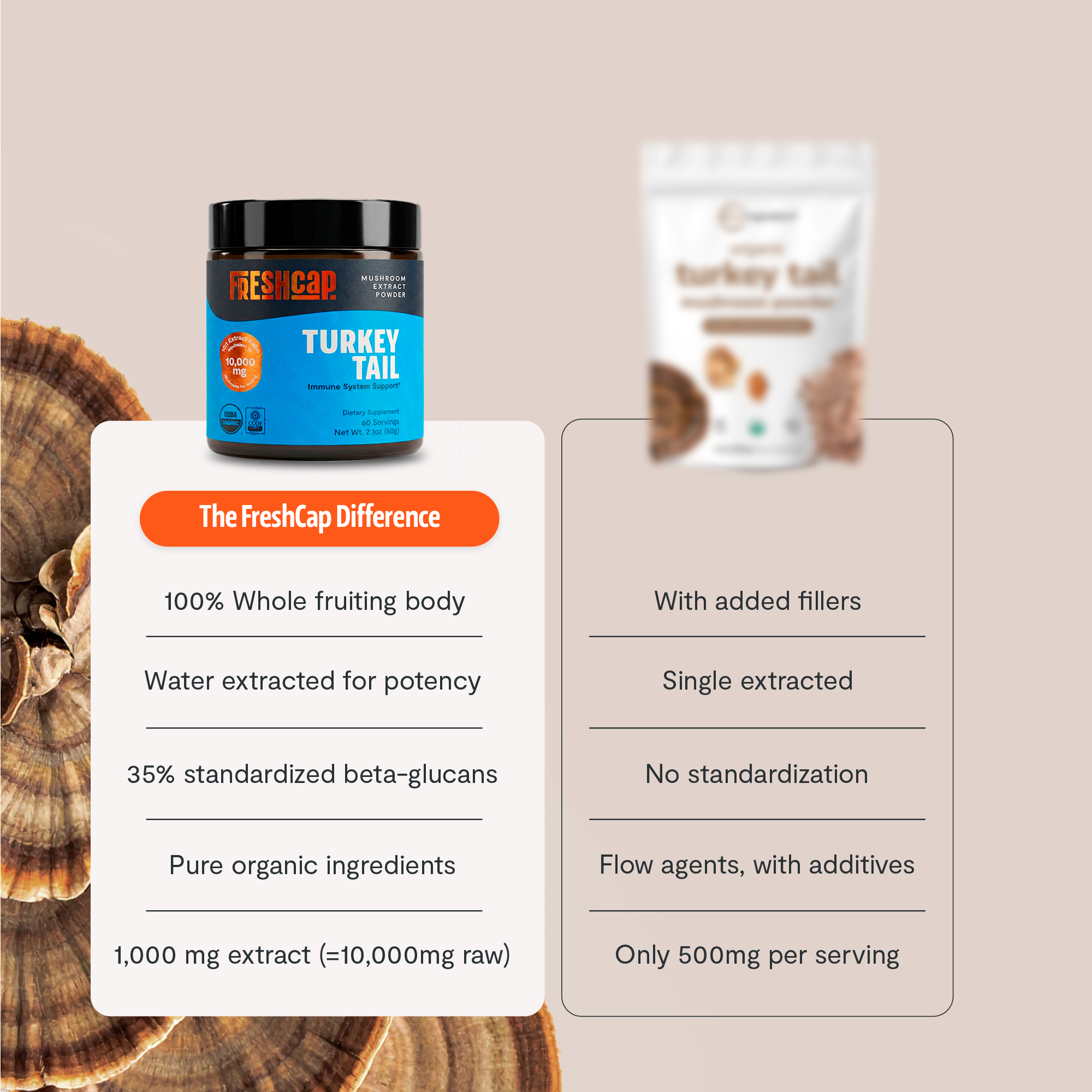 Turkey Tail Mushroom Extract Powder by FreshCap Mushrooms