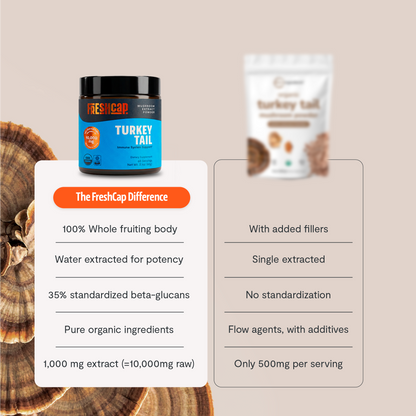 Turkey Tail Mushroom Extract Powder by FreshCap Mushrooms