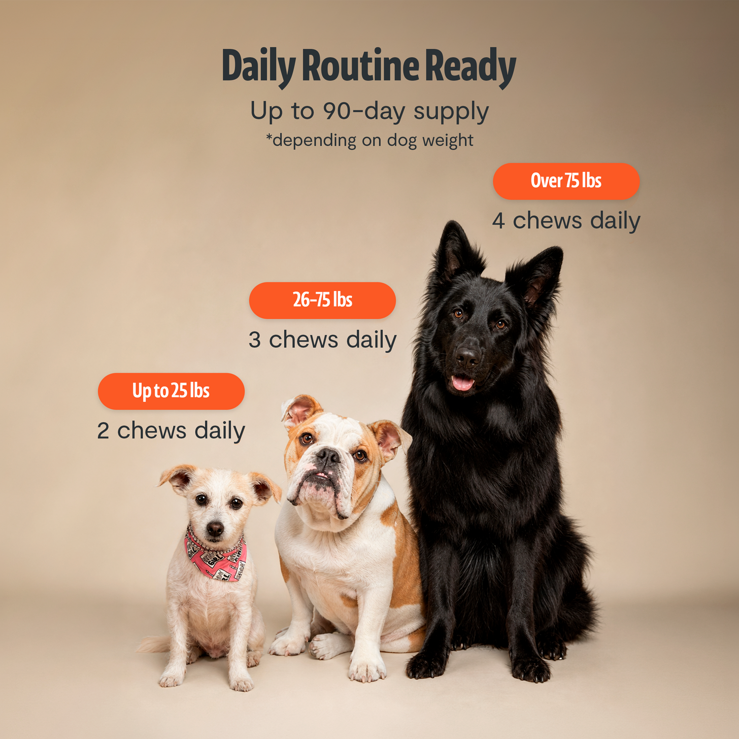 Organic Mushroom Complex for Dogs  DestGlow
