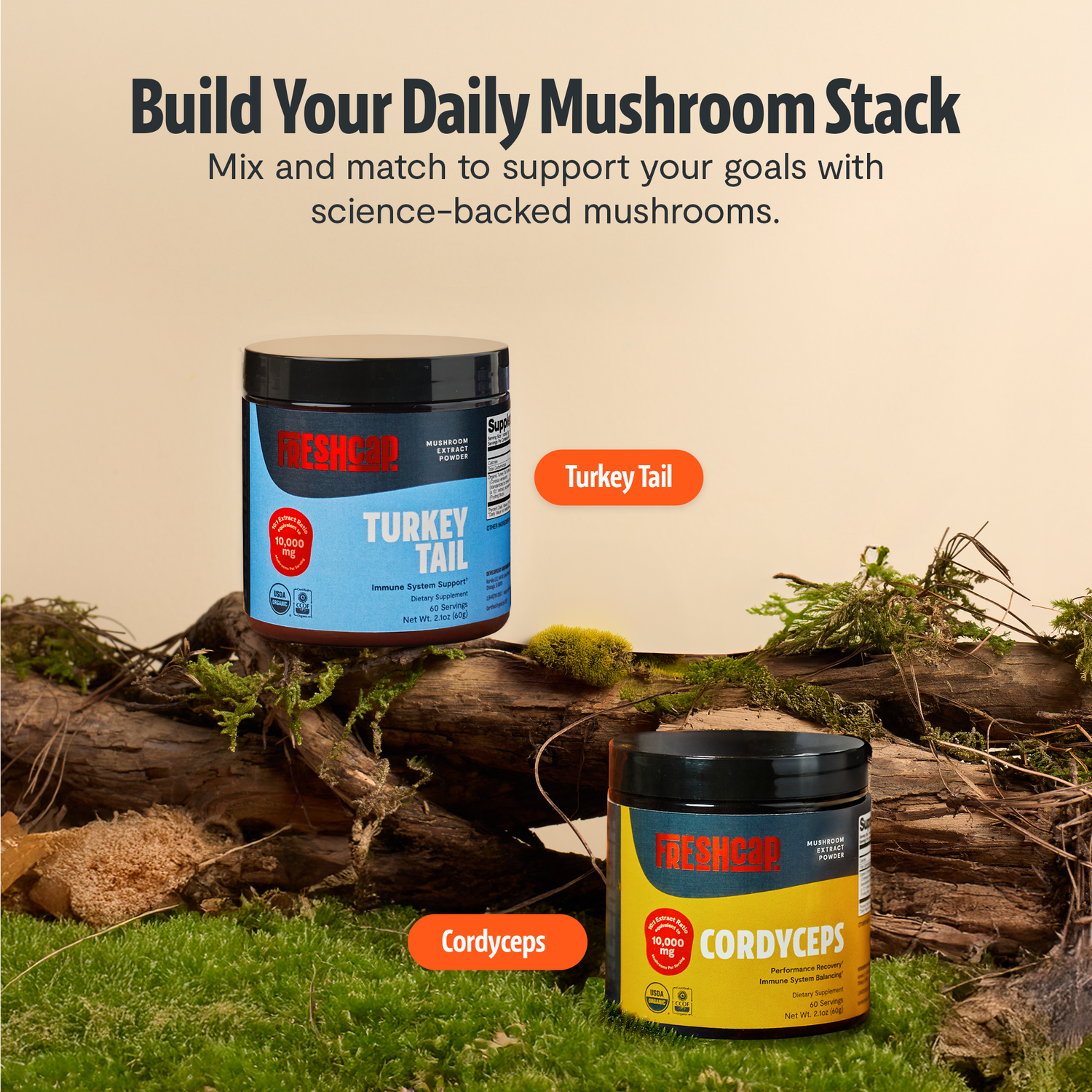 Turkey Tail Mushroom Extract Powder by FreshCap Mushrooms