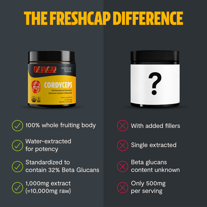 Cordyceps Mushroom Extract Powder