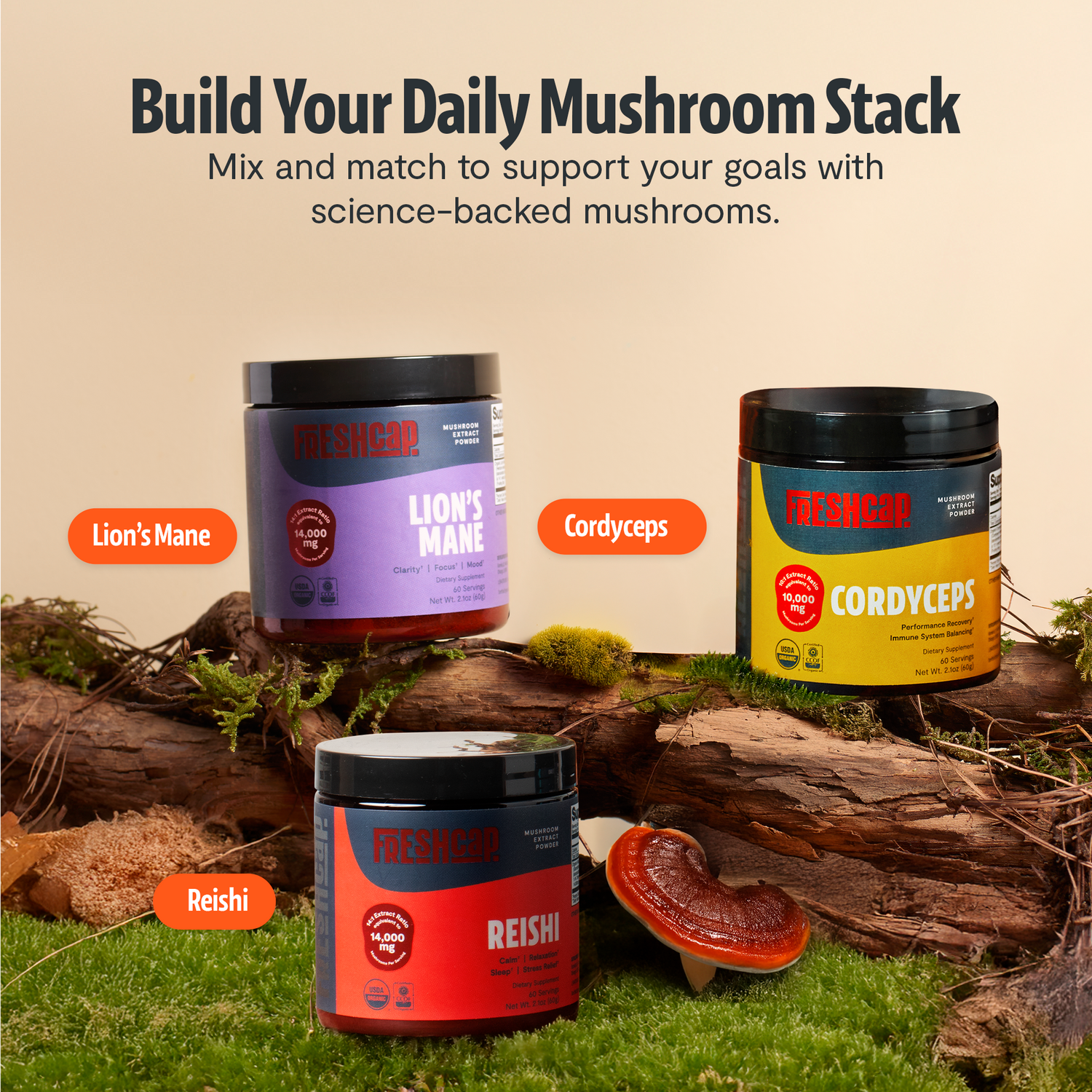 Reishi Mushroom Extract Powder by FreshCap Mushrooms