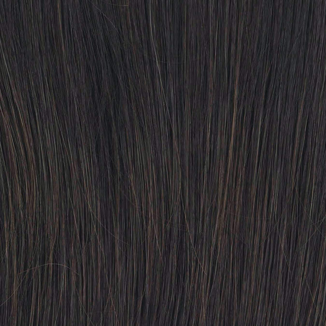 Raquel Welch Go To Style Wig