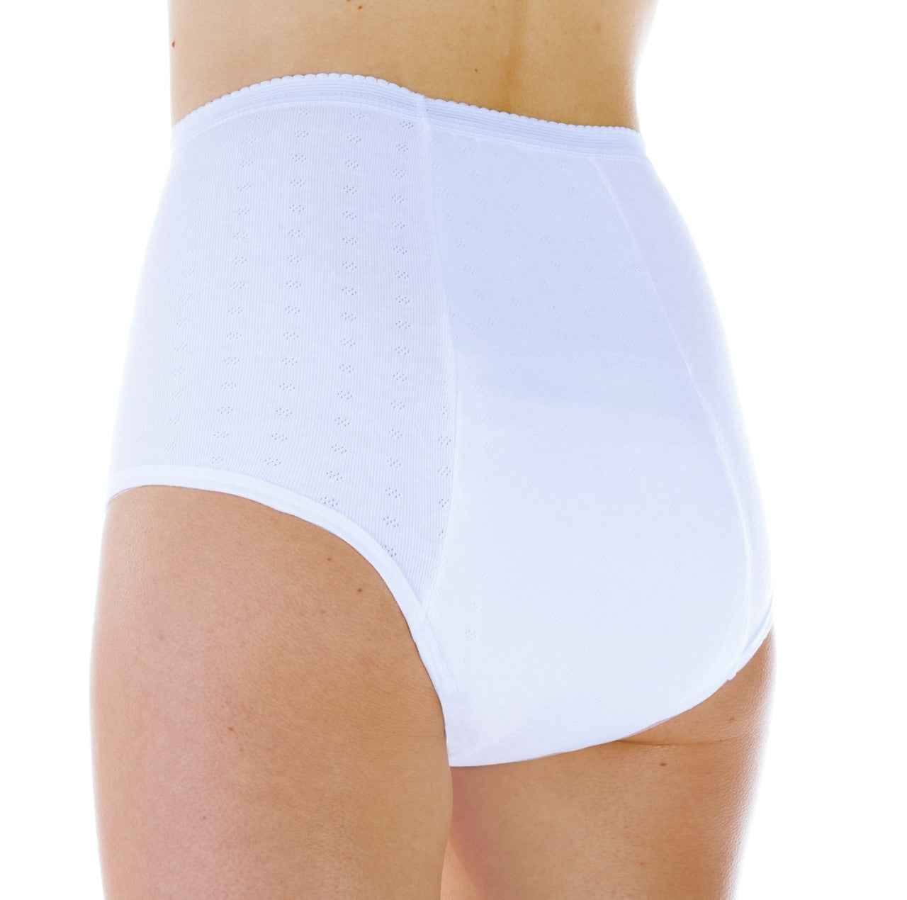 Maximum Absorbency Full Cut Panty (SKU: HDL200) -Beige - Old