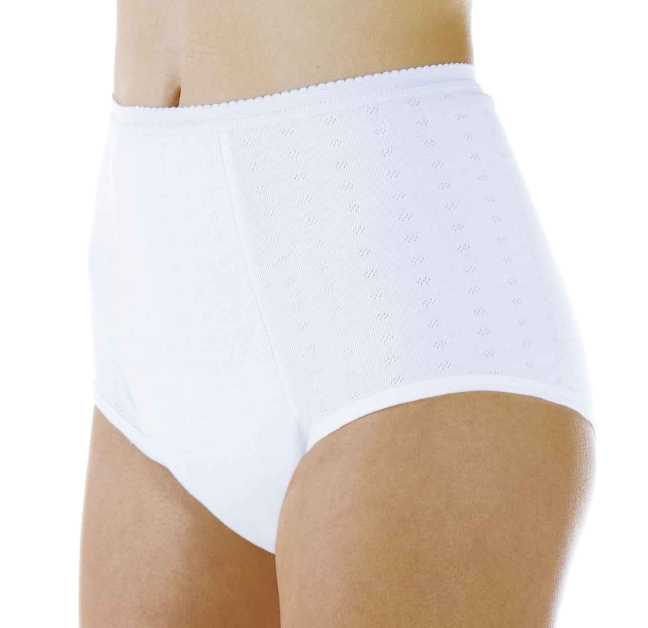Super Absorbency Full Cut Panty (SKU: HDL100)