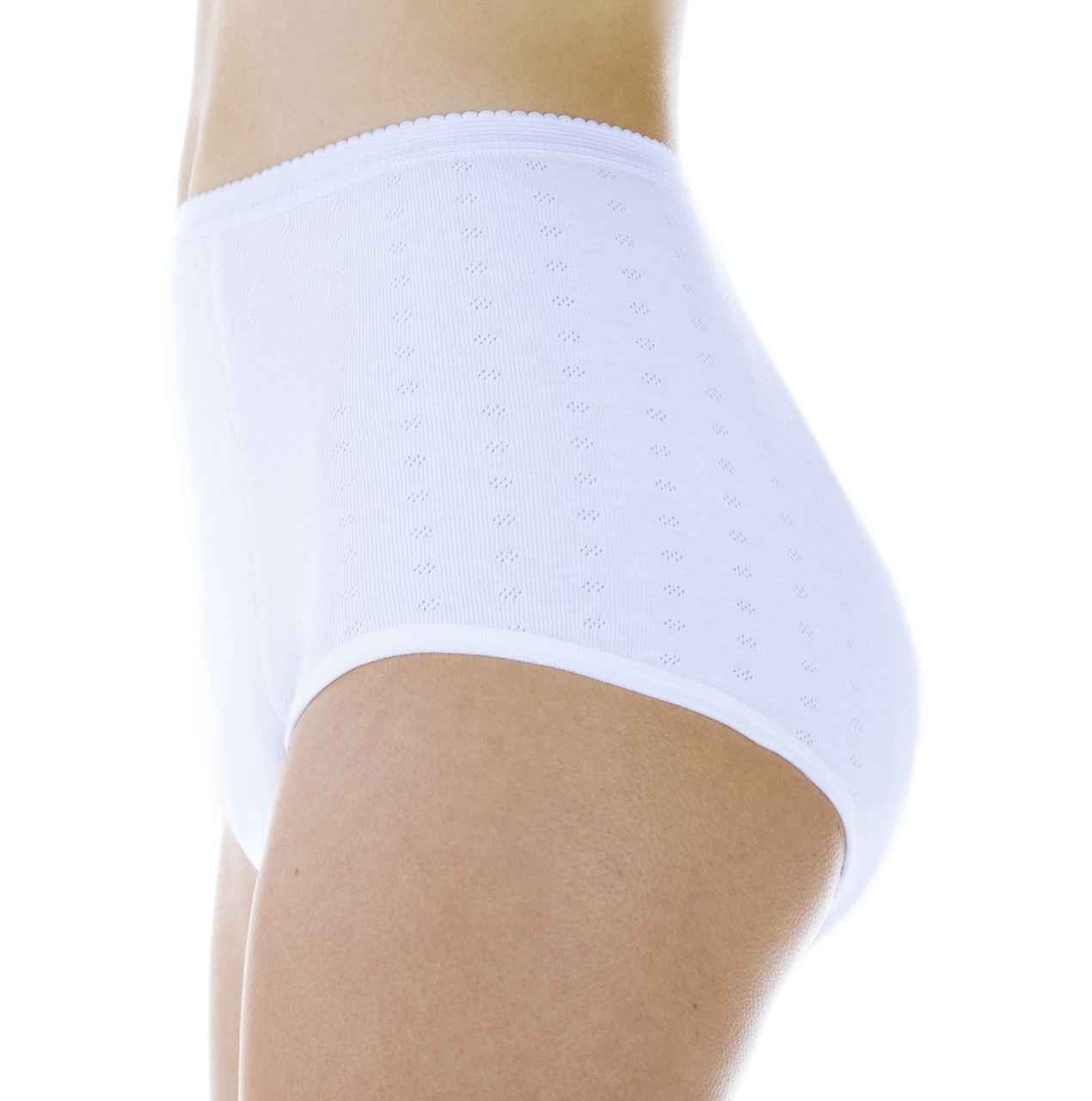 Super Absorbency Full Cut Panty (SKU: HDL100)