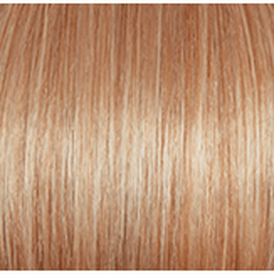 Raquel Welch Headliner 100% Human Hair Wig