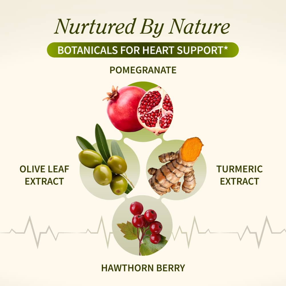 Heart Health &amp; Nitric Oxide Bundle by Snap Supplements