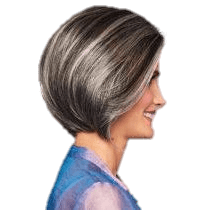 High Society Wig by Gabor