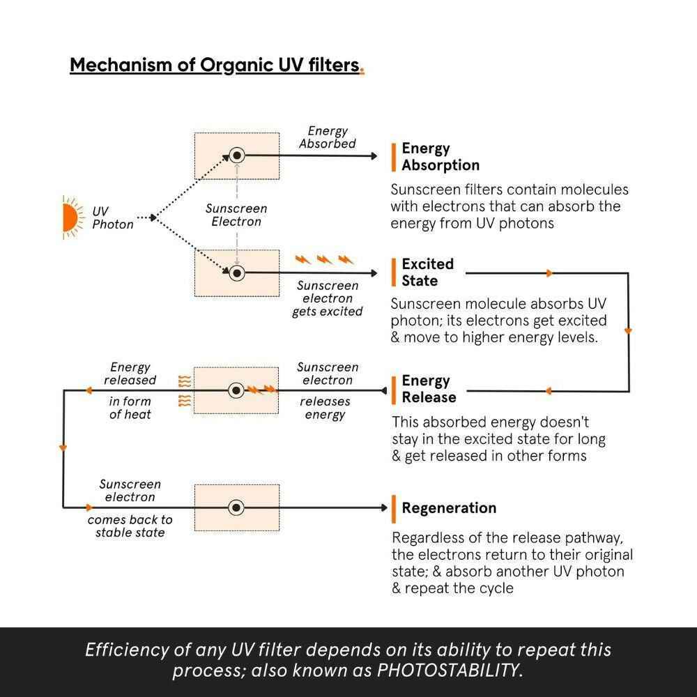 Minimalist Light Fluid Face Sunscreen with SPF 50 PA++++ - Lightweight, Water &amp; Sweat Resistant