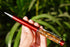 Tiger Eye Crystal Pen, Crystal Orgone Manifestation Pen  DestGlow