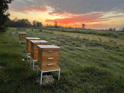 Whipped Cream Raw Honey