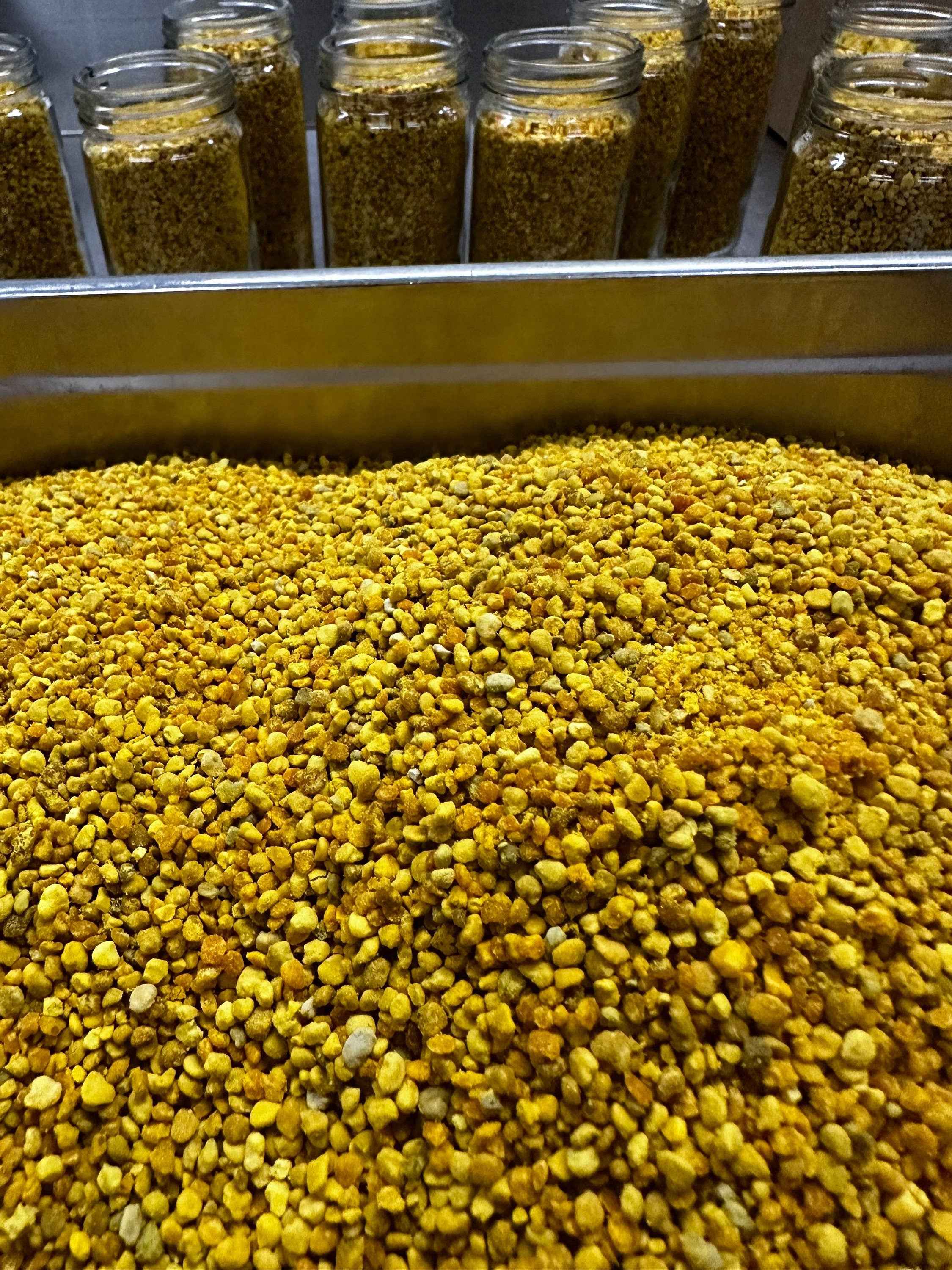 1 Pound Bee Pollen