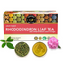 Teacurry Rhododendron Leaf Tea Bags