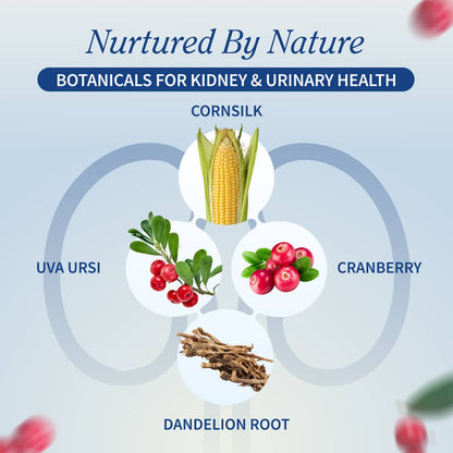 Kidney Health - Buy 2, Get 1 FREE! by Snap Supplements