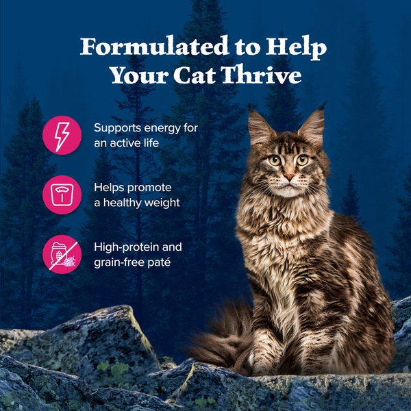 Blue Buffalo Wilderness High Protein Grain Free, Natural Adult Pate Wet Cat Food, Salmon  DestGlow