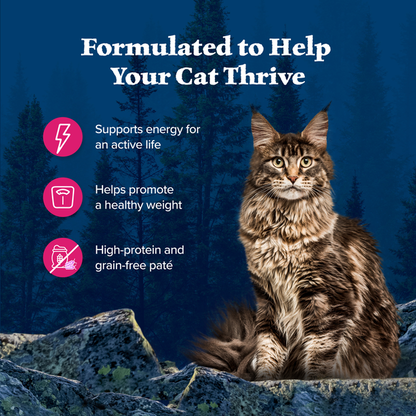 Blue Buffalo Wilderness High Protein Grain Free, Natural Adult Pate Wet Cat Food, Salmon  DestGlow