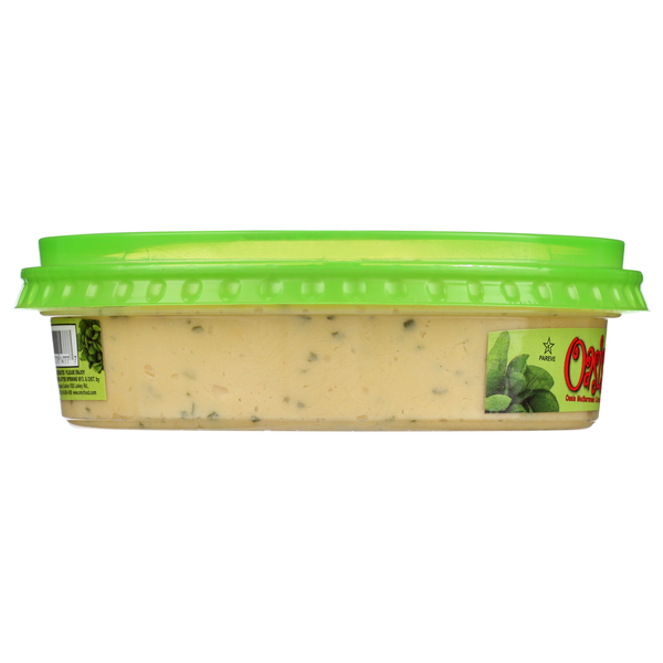 Oasis Mediterranean Cuisine Hommus Spinach  DestGlow