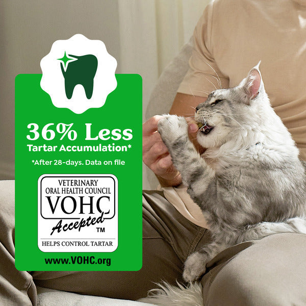 GREENIES Feline Dental Cat Treats, Catnip Flavor Tub  DestGlow