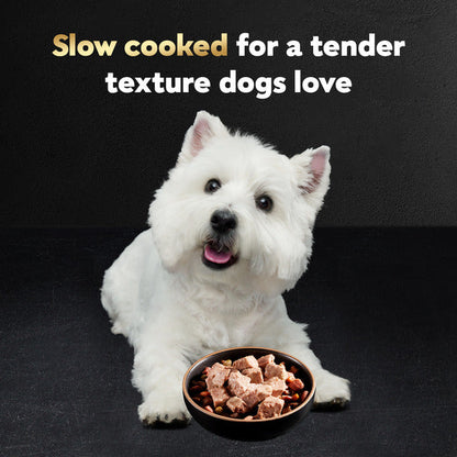 Cesar Loaf in Sauce Adult Wet Dog Food Filet Mignon Flavor, 3.5 oz. Tray  DestGlow