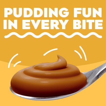 Jell-O Butterscotch Pudding &amp; Pie Filling Mix  DestGlow