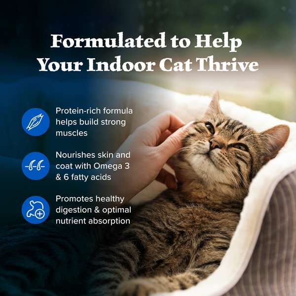 Blue Buffalo Wilderness High Protein, Natural Adult Indoor Dry Cat Food, Chicken  DestGlow