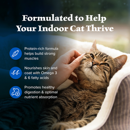 Blue Buffalo Wilderness High Protein, Natural Adult Indoor Dry Cat Food, Chicken  DestGlow