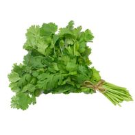 Organic Cilantro️  DestGlow