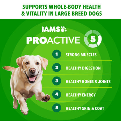 IAMS Proactive Health Large Breed Adult Dry Dog Food Chicken &amp; Whole Grain Recipe, 30 lb. Bag  DestGlow