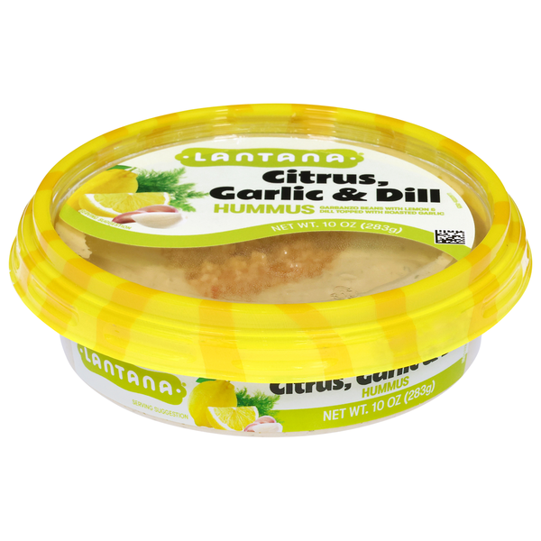 Lantana Citrus, Garlic &amp; Dill Hummus  DestGlow