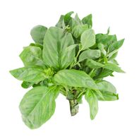 Organic Basil Package️  DestGlow