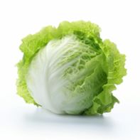 Iceberg Lettuce️  DestGlow
