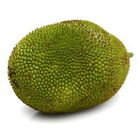 Jackfruit️  DestGlow