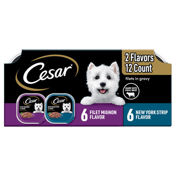 Cesar Filets in Gravy Wet Dog Food Variety Pack  DestGlow