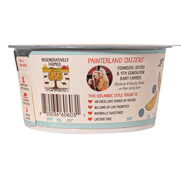 Painterland Sisters Blueberry Lemon  DestGlow