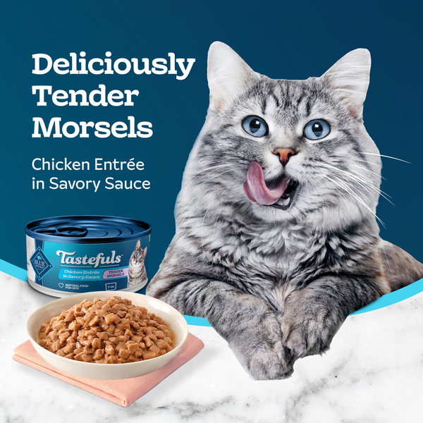 Blue Buffalo Tastefuls Natural Wet Food for Adult Cats, Chicken Entrée Morsels in Gravy