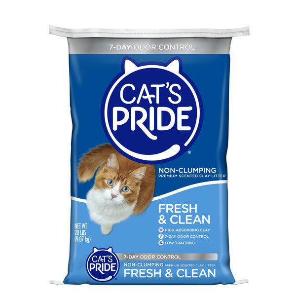 Cat&