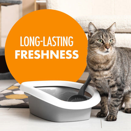 Arm &amp; Hammer Carpet Odor Eliminator