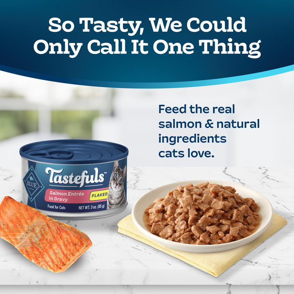 Blue Buffalo Tastefuls Natural Flaked Wet Cat Food, Salmon Entrée in Gravy