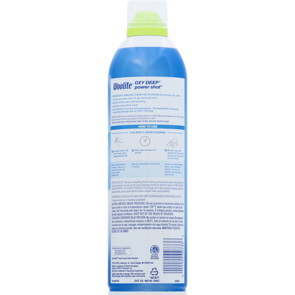Woolite Carpet Spot &amp; Stain Remover