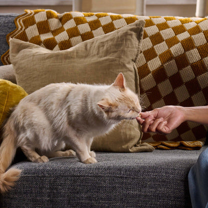 Meow Mix Irresistibles, Soft Cat Treats With White Meat Chicken