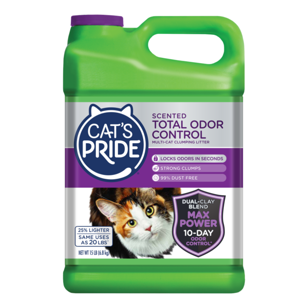 Cat&