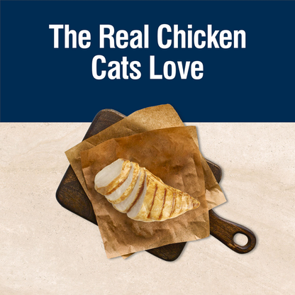 Blue Buffalo True Solutions Blissful Belly Natural Digestive Care Adult Dry Cat Food, Chicken
